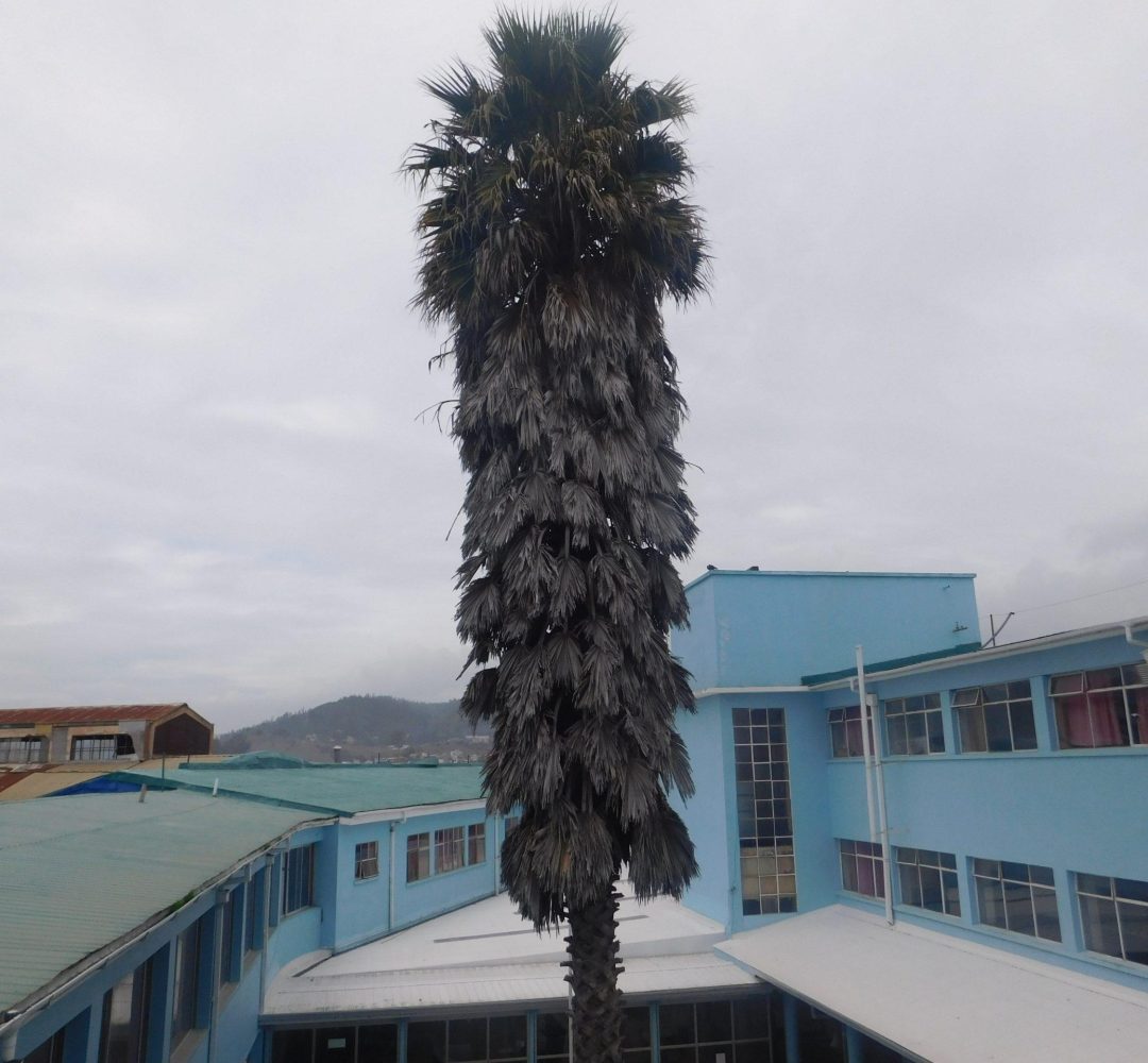 DSCN1379