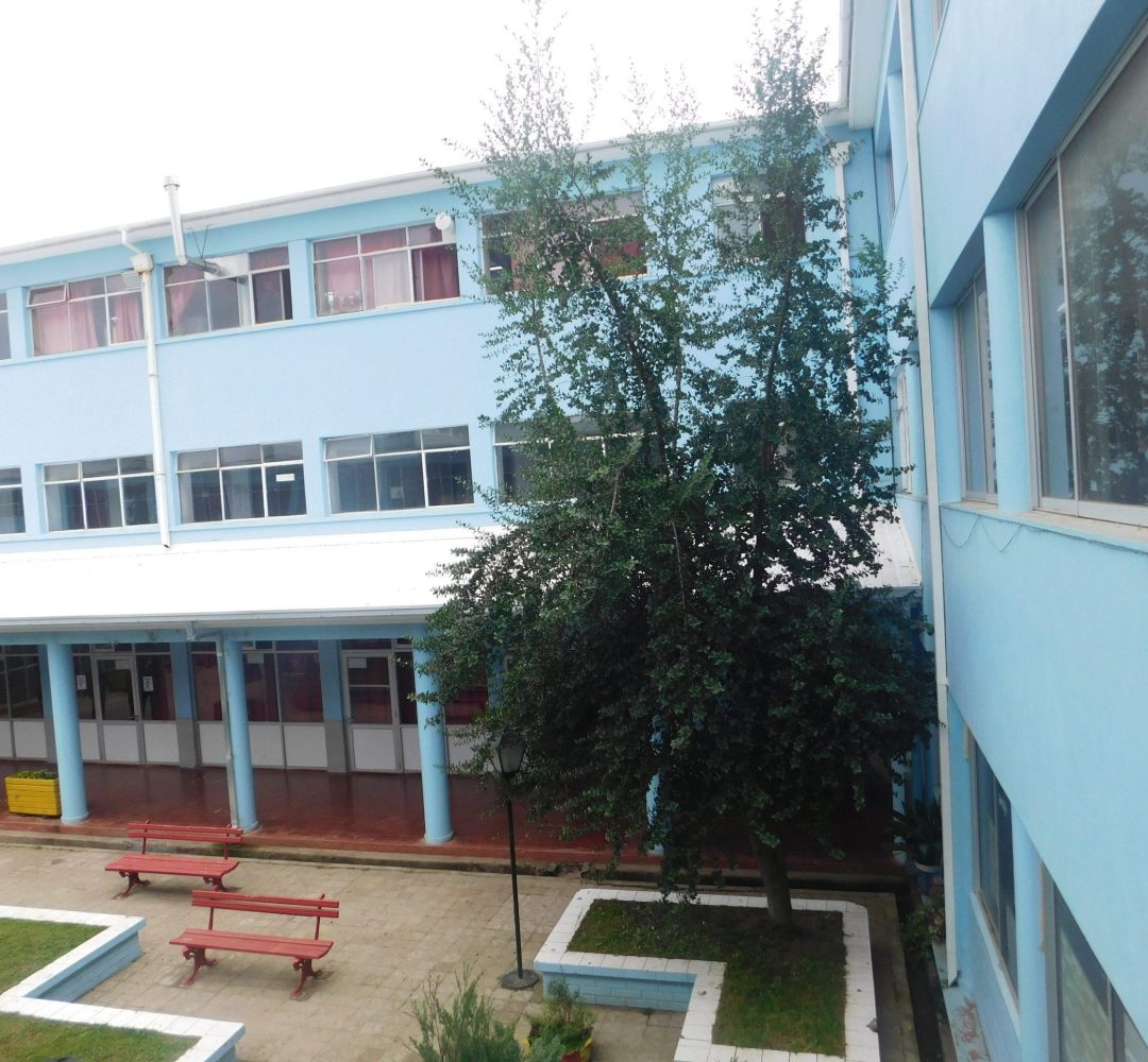 DSCN1383